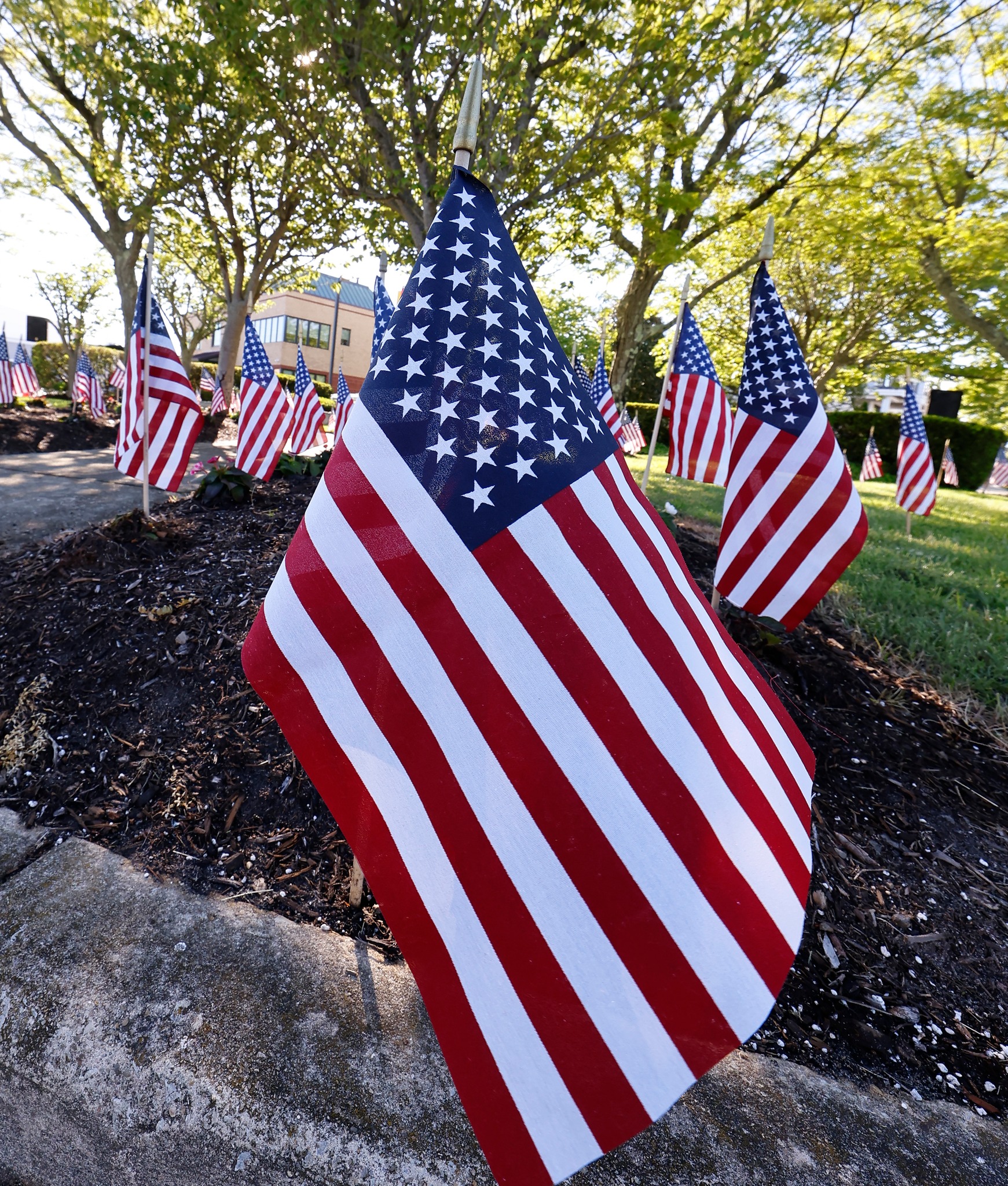 This Memorial Day, we honor and remember the brave men and women who made the ultimate sacrifice for our country 🇺🇸

Join the community this morning for the annual Memorial Day Parade and Ceremony hosted by the Margate Mothers' Association  alongside the City of Margate. The parade begins at 10AM following a 9:30AM lineup at Margate City Hall.

Take a moment to remember, reflect, and celebrate those who served. ❤️🤍💙