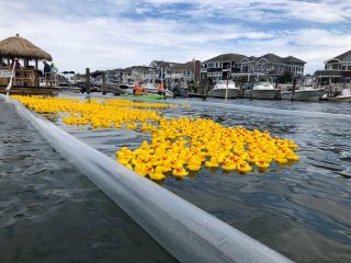 The Duck Derby sponsored by Margate Gardens Wine & Spirits returns to Scott's Dock on Sunday, August 23!🦆 

Watch hundreds of rubber ducks race across the bay for a chance to win:
🥇 $1,000
🥈 $500
🥉 $250

Tickets are just $5, with proceeds benefiting MBA community programs. Join us starting at 11 AM for family-friendly fun, games, music by USA DJ, and the Duck Derby at approximately 11:30 AM.

Purchase tickets through August 20 at Margate Gardens Wine & Spirits , The Other Lucy Beach Grille , Scott's Dock , Thrilling Thursdays, the Margate Community Farmers Market, or from Melissa with the MBA and Wally with USA DJ Entertainment . No tickets will be sold on event day!