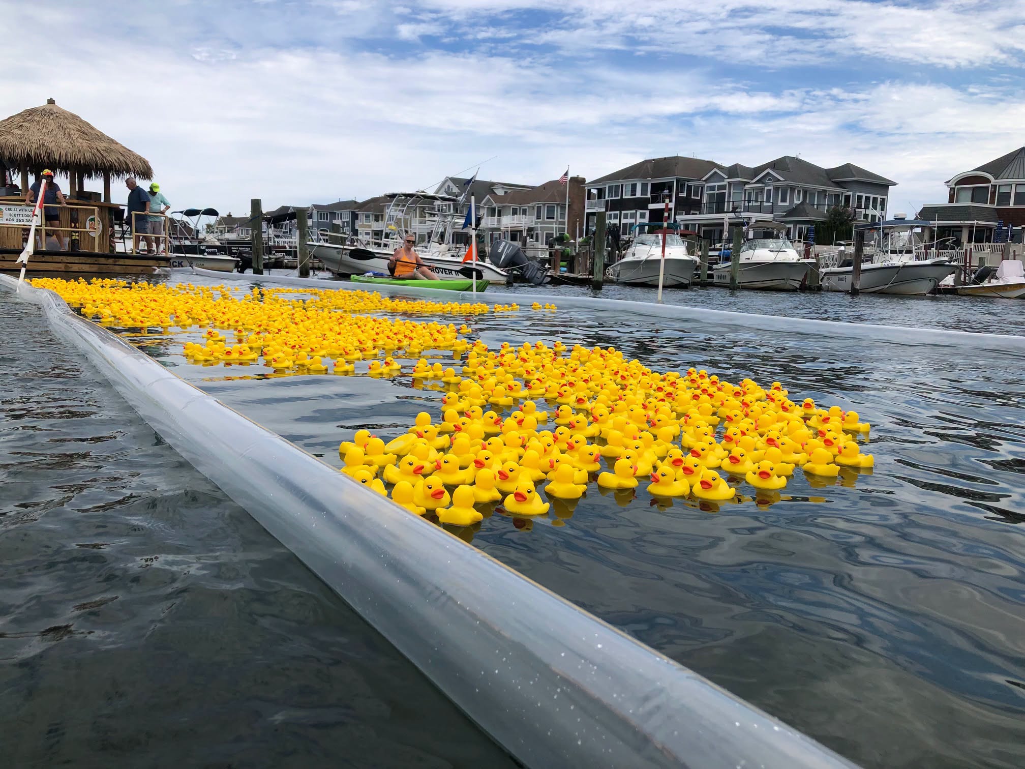 The Duck Derby sponsored by Margate Gardens Wine & Spirits returns to Scott's Dock on Sunday, August 23!🦆 

Watch hundreds of rubber ducks race across the bay for a chance to win:
🥇 $1,000
🥈 $500
🥉 $250

Tickets are just $5, with proceeds benefiting MBA community programs. Join us starting at 11 AM for family-friendly fun, games, music by USA DJ, and the Duck Derby at approximately 11:30 AM.

Purchase tickets through August 20 at Margate Gardens Wine & Spirits , The Other Lucy Beach Grille , Scott's Dock , Thrilling Thursdays, the Margate Community Farmers Market, or from Melissa with the MBA and Wally with USA DJ Entertainment . No tickets will be sold on event day!