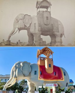 Today we celebrate 145 Years of Lucy the Elephant here in Margate 🎈🥳 Stop by & visit today at 9200 Atlantic Avenue for her birthday celebration.