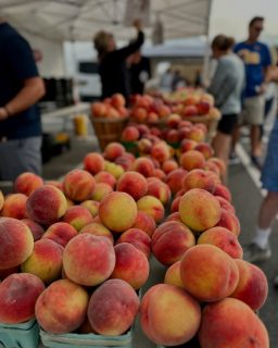 Your Thursday plans are set. Shop the Margate Community Farmers Market from 8:30 to 11:30 AM, grab your Duck Derby tickets while you're there, then end the day with Thrilling Thursdays on the beach. Tomorrow's FREE movie is Zootopia 2.

📍 Beach behind the Bloom Pavilion (between Granville & Huntington Avenues)
🎉 Free pre-movie activities begin at 6:30 PM
🎥 Movie starts around 7:00 PM

Bring your chairs, blankets, family, and friends for another unforgettable summer night in Margate.