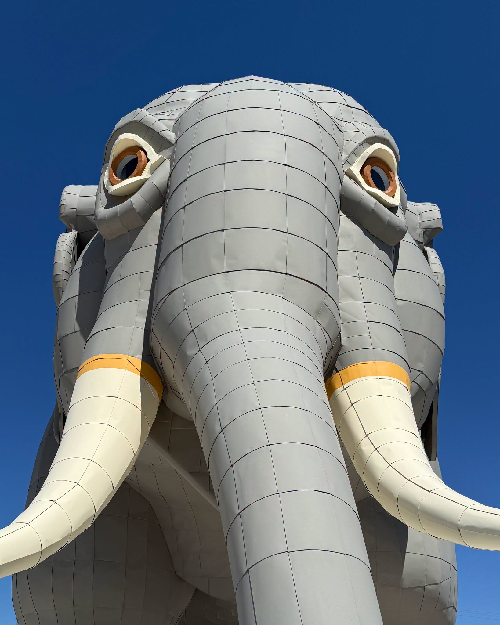 Don't miss Lucy the Elephant 's 145th Birthday Celebration now on August 1st! 🥳