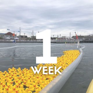 Just ONE WEEK until the Duck Derby sponsored by Margate Gardens Wine & Spirits ! 🦆 Join us Sunday, August 23 from 11 AM - 1 PM at Washington Ave Pier for one of Margate's most unique summer traditions.

Have you claimed your duck yet? Purchase your raffle ticket before Thursday, August 20 for your chance to win $1,000, $500, or $250 in Visa gift cards.

The fun begins at 11 AM with family-friendly games, music from USA DJ, prizes, and activities along the Washington Avenue Pier. The duck race begins at approximately 11:30 AM, where thousands of numbered rubber ducks will race through the bay to the finish line.

Every duck purchased helps support MBA community programs. We can't wait to see you there!