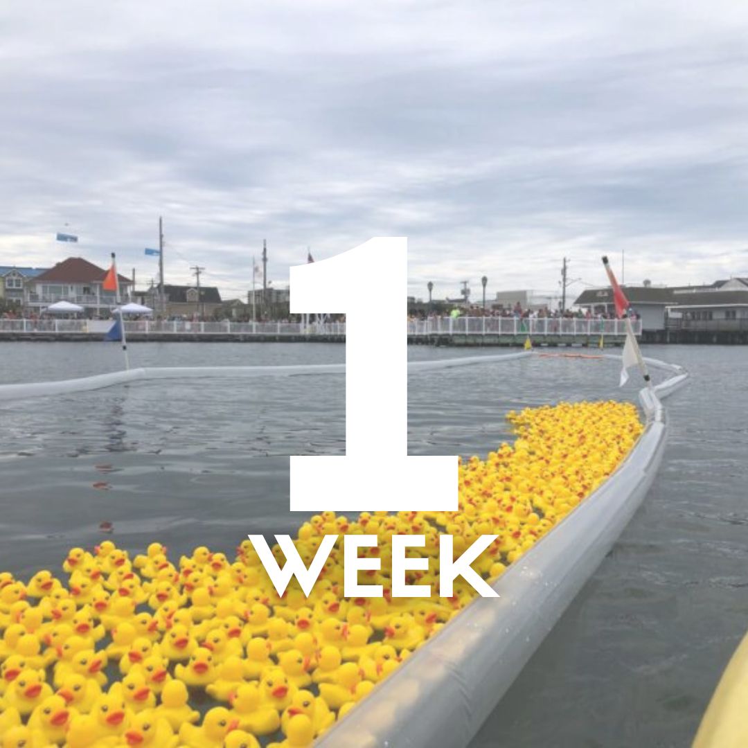 Just ONE WEEK until the Duck Derby sponsored by Margate Gardens Wine & Spirits ! 🦆 Join us Sunday, August 23 from 11 AM - 1 PM at Washington Ave Pier for one of Margate's most unique summer traditions.

Have you claimed your duck yet? Purchase your raffle ticket before Thursday, August 20 for your chance to win $1,000, $500, or $250 in Visa gift cards.

The fun begins at 11 AM with family-friendly games, music from USA DJ, prizes, and activities along the Washington Avenue Pier. The duck race begins at approximately 11:30 AM, where thousands of numbered rubber ducks will race through the bay to the finish line.

Every duck purchased helps support MBA community programs. We can't wait to see you there!