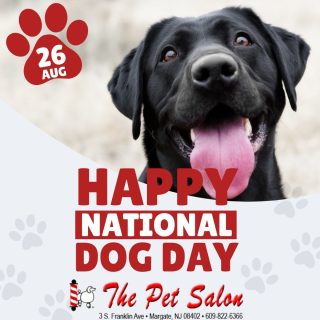 Happy National Dog Day! In honor of today, we are looking for some awesome pups ( or cats) pictured around Margate! 🐾📸 Comment below with your favorite picture of your dog taken somewhere in our beautiful town and your photo may be selected for the 2027 Margate City Calendar, published by the City of Margate and the MBA! Posting allows permission for reprint.  Be sure to include your Pups name!
Sponsored by The Pet Salon Inc. .