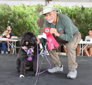 Calling all good pups! 🐶 The Steve & Cookie’s 28th Annual Dog Show returns Funfest Weekend on Sunday, September 27 at 1PM! Show off your pup in categories including best looking, best dressed and most talented!