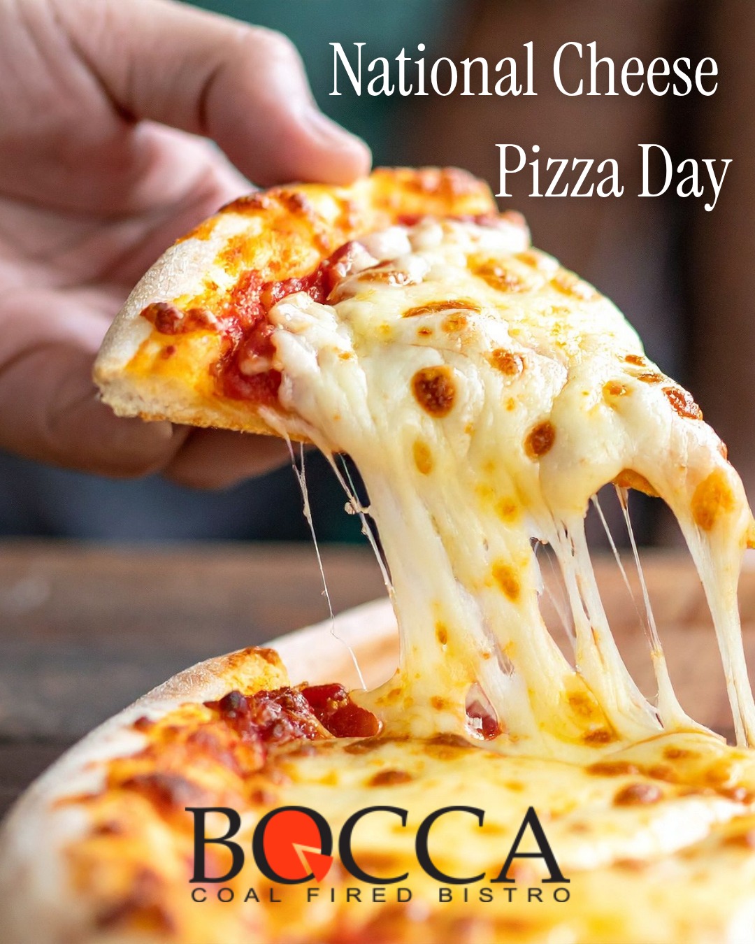 Happy National Cheese Pizza Day from todays calendar sponsor @boccanj ! 🍕
