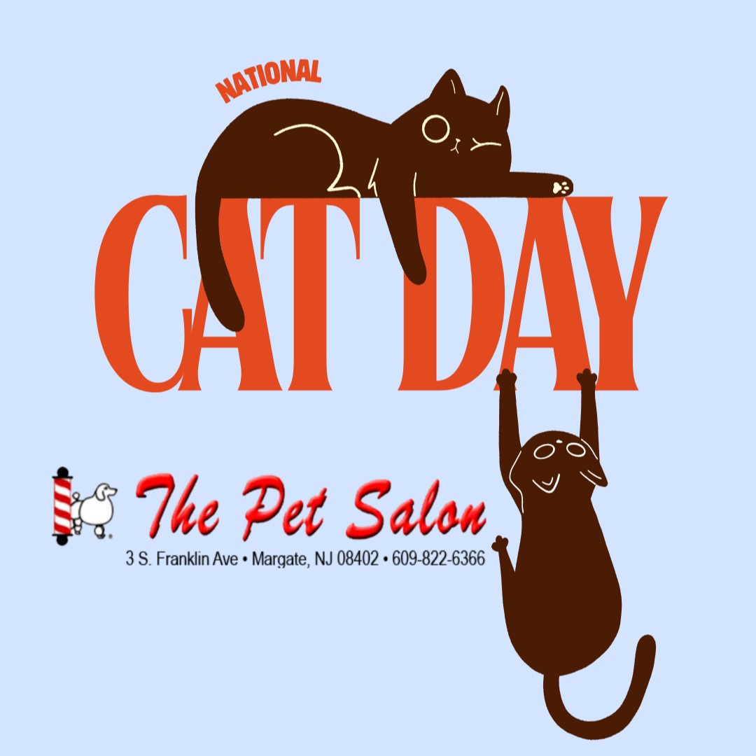 It’s National Cat Day! 🐱 Celebrate our favorite furry friends with a little extra love for the kitties who make life better. Proudly presented by The Pet Salon! 🐾